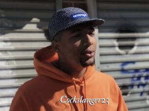 Cockslanger23
