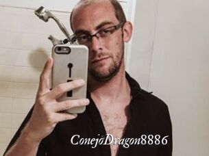 ConejoDragon8886