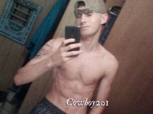 Cowboy201