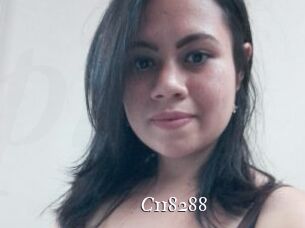 C118288