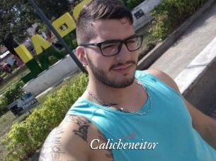 Calicheneitor