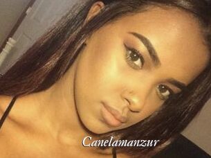Canelamanzur
