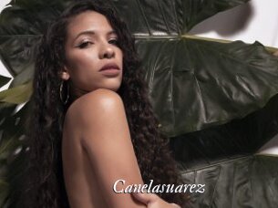 Canelasuarez