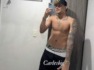 carlesbig Partouze