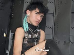 Cat_bad