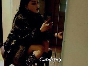 cataleya9 Partouze