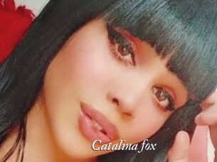 Catalina_fox