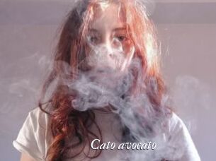 Cato_avocato