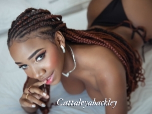 Cattaleyabackley