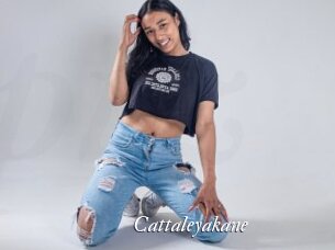 cattaleyakane Partouze