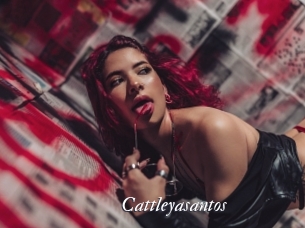 Cattleyasantos