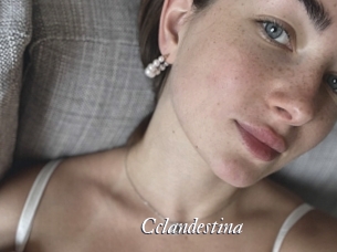 cclandestina Partouze