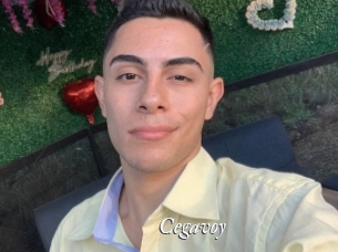 Cegavoy