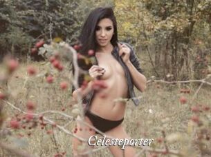 Celesteporter