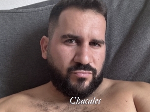 Chacales