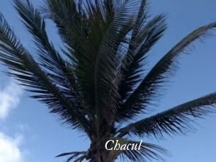Chacul