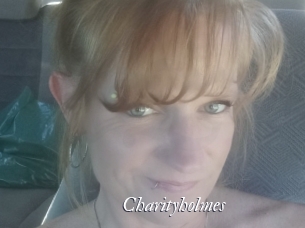 Charityholmes
