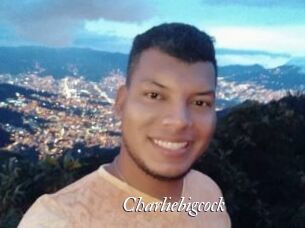 charliebigcock Partouze