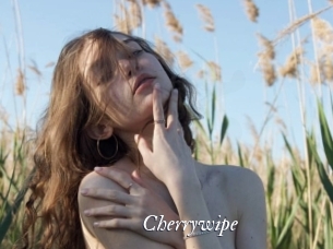 Cherrywipe