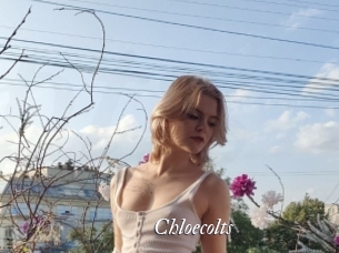 Chloecolts