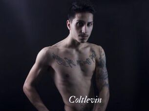 Coltlevin