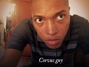 Corvus_guy