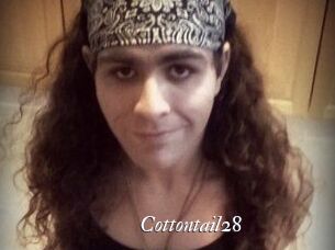 Cottontail28