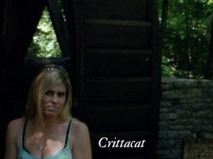 Crittacat