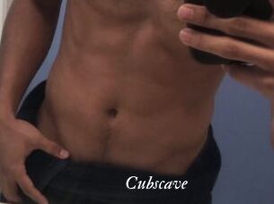 Cubscave