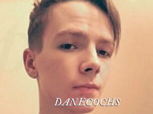 DANE_COCHS Partouze