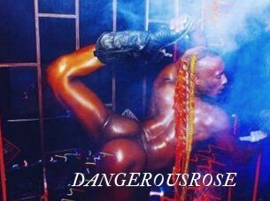 DANGEROUSROSE