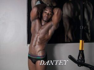DANTE_Y