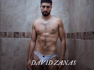 DAVID_ZANAS