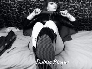 Dahlia_Blaque