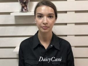 DaisyCani