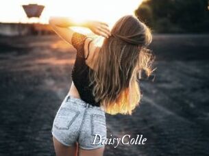DaisyColle