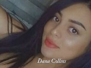 Dana_Collins
