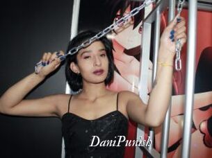 DaniPunish