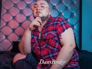 DanyBridge