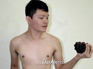 Darkboy18