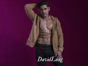 DavidLang