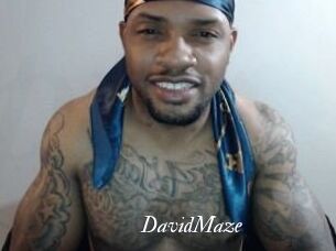David_Maze