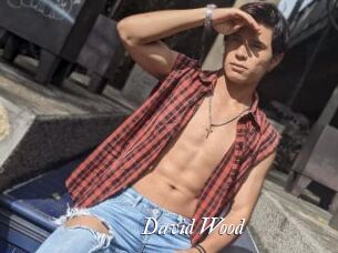 David_Wood