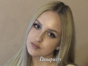 Dinapussy Partouze