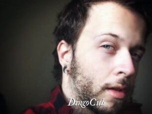 DingoCub