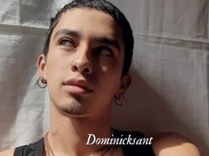 Dominicksant