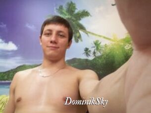 DominikSky