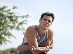 DominikYa