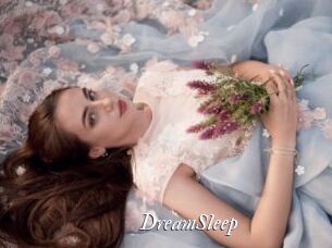 DreamSleep