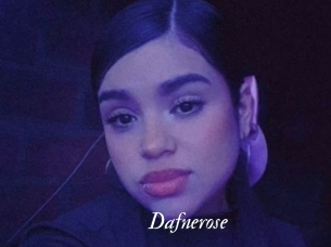 Dafnerose